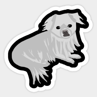 White pekingese Sticker